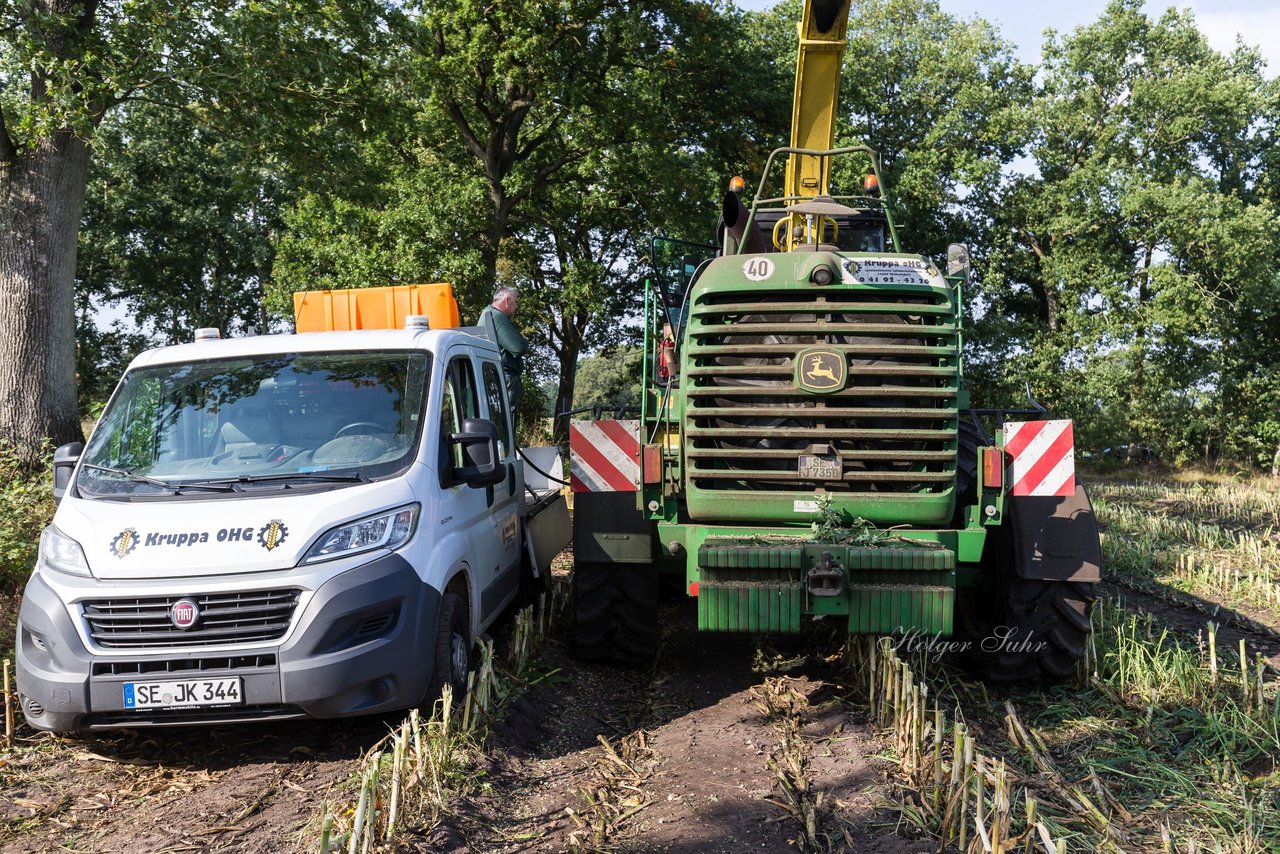 Bild 239 - Maisernte